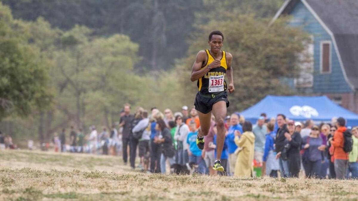 James Mwaura of Lincoln High School won the Gold division of the boys 5,000 meter run Saturday at the Fort Steilacoom Cross-Country Invitational in a time of 15:03, nearly a half minute ahead of Bradley Peloquin of Gig Harbor, the second place finisher.