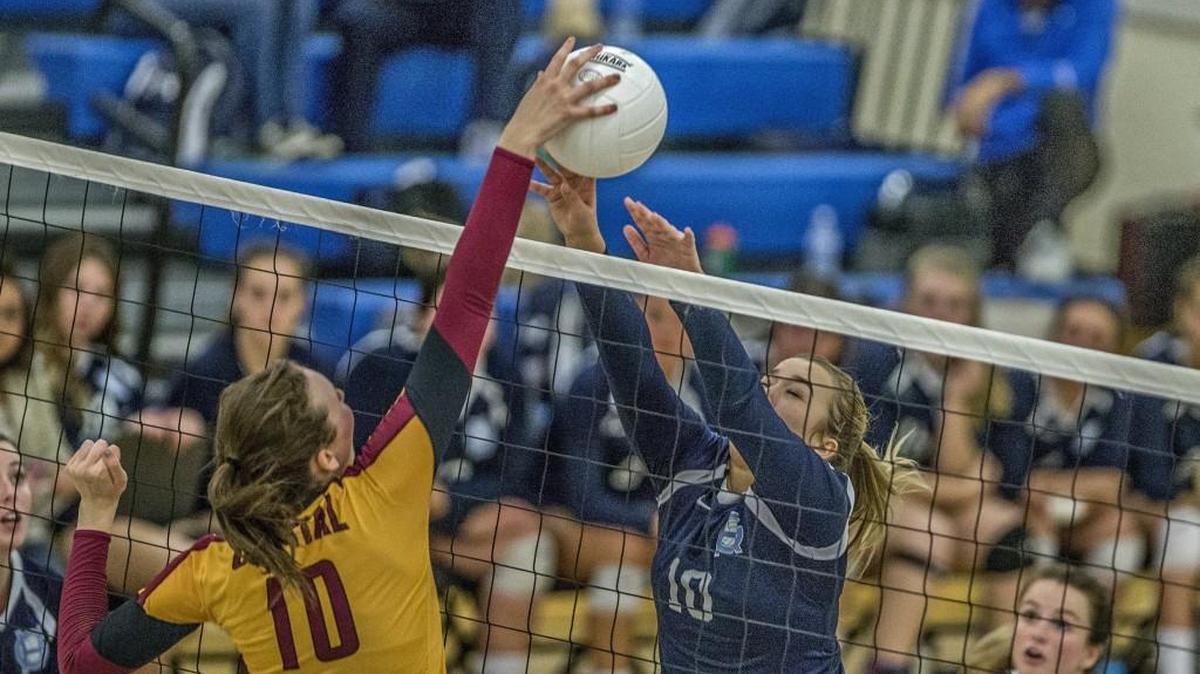 Tides' Ceci Rollins (10) blocks a pass by Cougars' Teagan Jones (10) during the Gig Harbor (5-1 SSC 3A) vs Capital (6-0 SSC 3A) volleyball match Wednesday, Oct. 4 at Gig Harbor High School. This is a 1st vs 2nd place matchup that the Tides win 3-1.