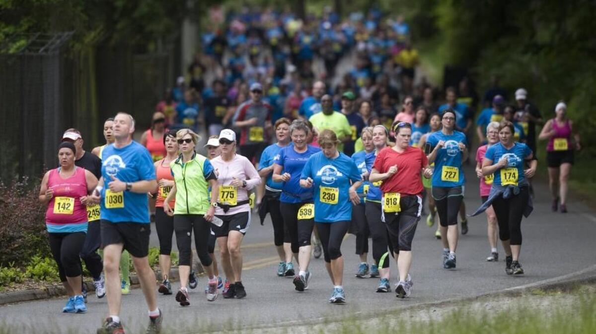 Runners and walkers exit the parking lot of the Point Defiance Zoo and Aquarium and enter the park during the 2013 Sound to Narrows.