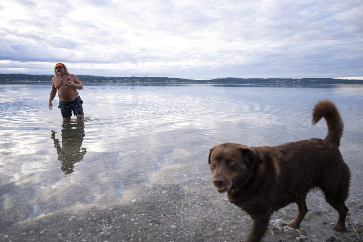 Business owner and outdoor influencer Scott Goerig takes a cold plunges with his dog Rikki-Tikki-Tavi at Cutts Island State Park, on Wednesday, June 10, 2026, in Gig Harbor. Goerig, who operates Deadman’s Kayak + SUP Rental & Tours, regularly leads paddlers on day trips out to the sandy shores of Cutts Island State Park, a historic local landmark.