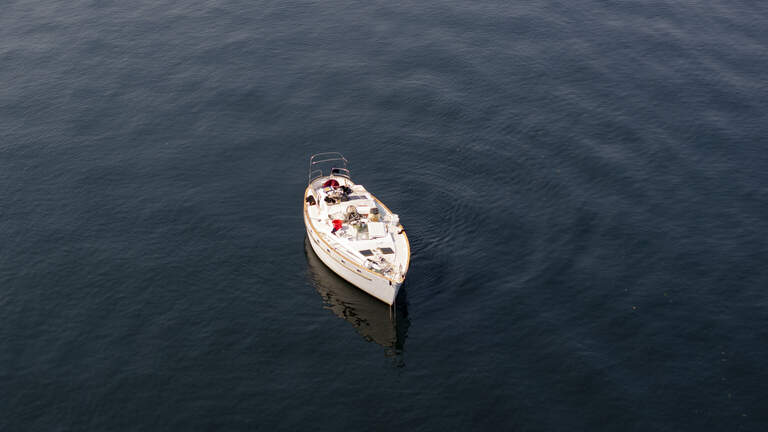 Cat boat updates: Feline sailors up for adoption, sailboat to be seized