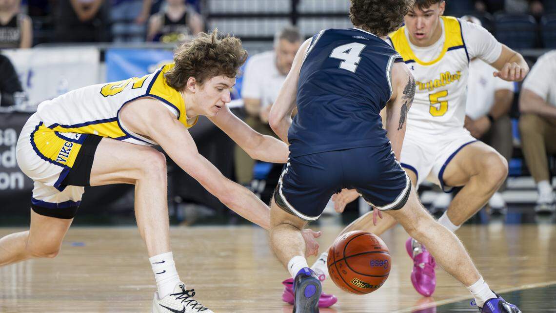 Day 1: Top performers from 4A, 3A boys basketball tournaments at Tacoma Dome