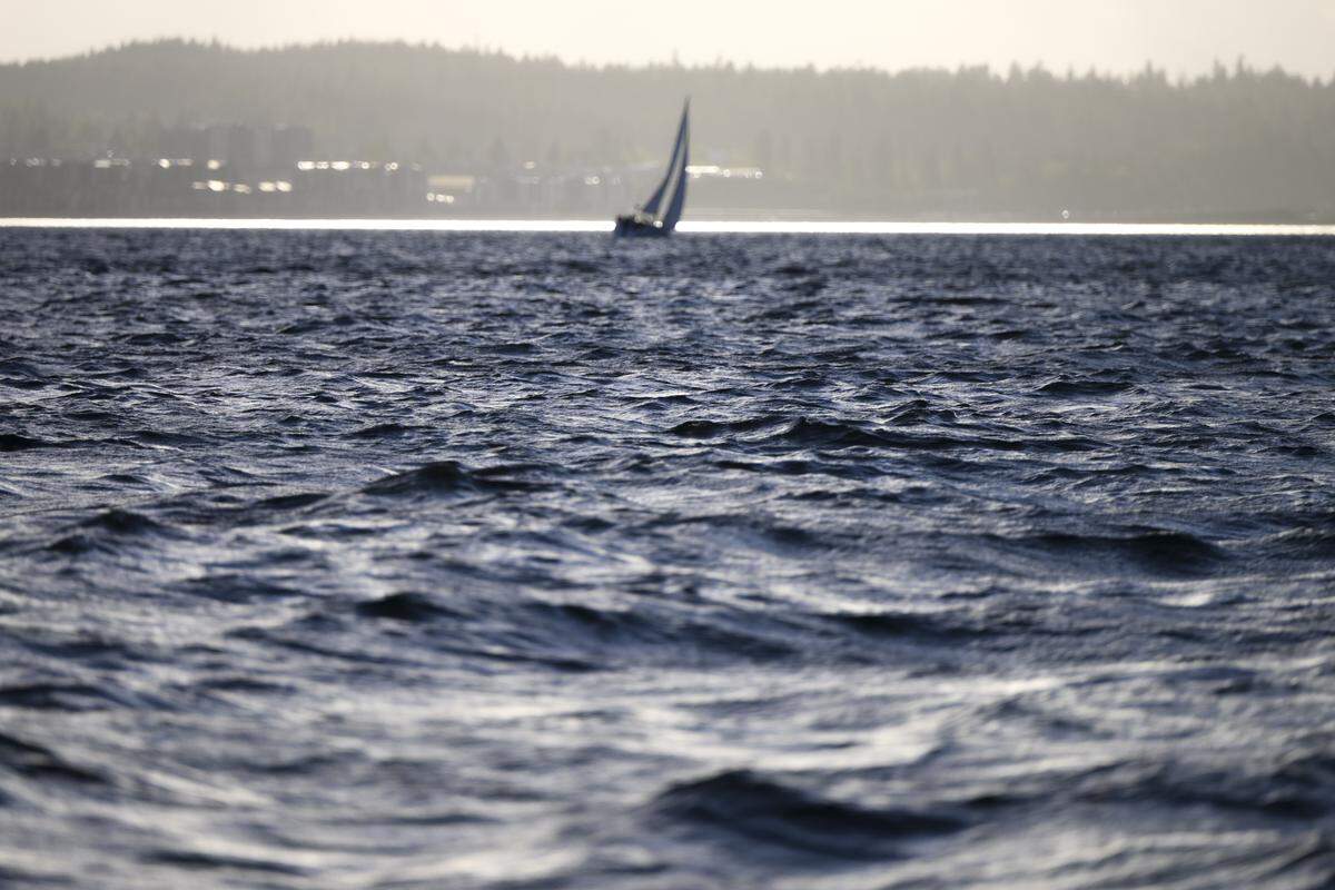 Choppy waves stir up during The Corinthian Yacht Club of Tacoma Late Spring Windseekers #1 race on Commencement Bay, on Wednesday, May 13, 2026, in Tacoma.