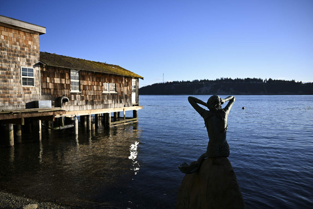 Mermaid Chloe, a sculpture made by Marilyn Mahoney, looks out from Salmon Beach, on Wednesday, June 3, 2026, in Tacoma.