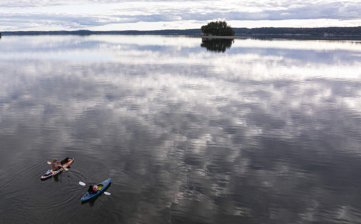 Business owner and outdoor influencer Scott Goerig on a paddle board with his dog Rikki-Tikki-Tavi paddles alongside The News Tribune reporter Julia Park, on Wednesday, June 10, 2026, in Gig Harbor.