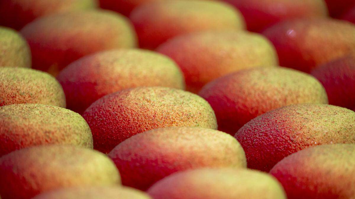 The pastry team at Emish Market in Fife started making mango trompe l’œil desserts, styled after a viral dessert trend ignited in Paris, last August. Now they make hundreds of a dozen different fruits, selling out every day.